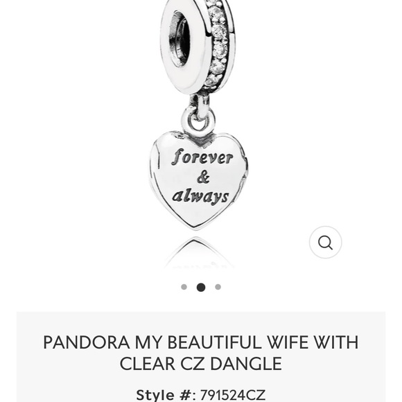 My Beautiful Wife Pandora Charm Bangle - Picture 2 of 5